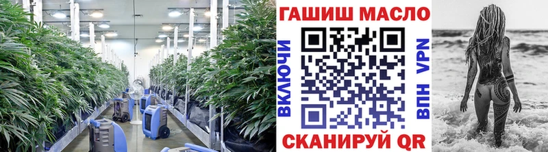 ТГК Wax Шенкурск