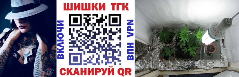 МАРИХУАНА конопля  Шенкурск 
